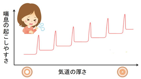 気道のリモデリング2