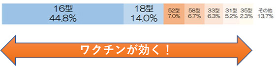 HPVの種類とワクチン